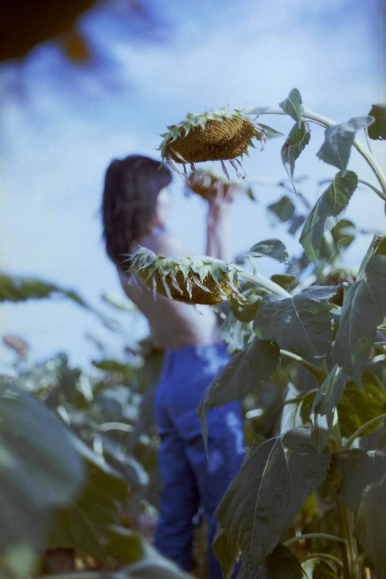 my wife in a sunflower field